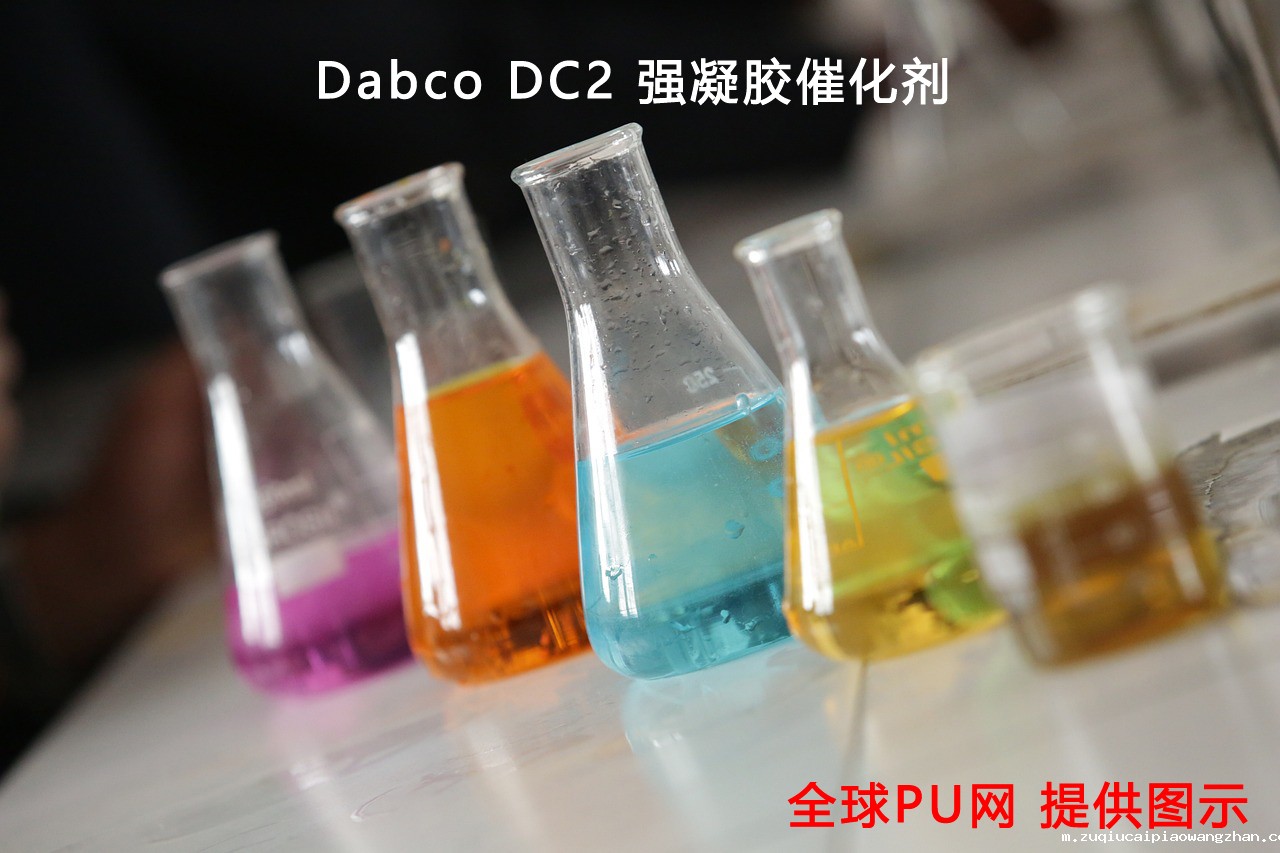 Dabco DC2 强凝胶催化剂